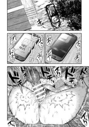 Koisugi | 코이스기