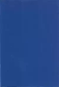 (C51) [Chimatsuriya Honpo (Various)] FSB (Neon Genesis Evangelion)