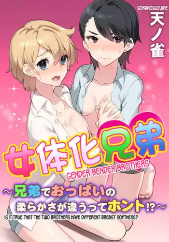 [Soranosuzume] Nyotaika Kyoudai ~Kyoudai de Oppai no Yawarakasa ga Chigau tte Honto!?~ (Henshin? Irekawari? Watashi no Karada… Dou Nacchatta no?) [English] [desudesu]