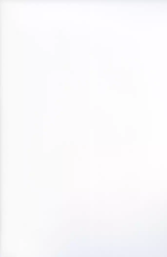 Kimi no Mama. 너의그대로。