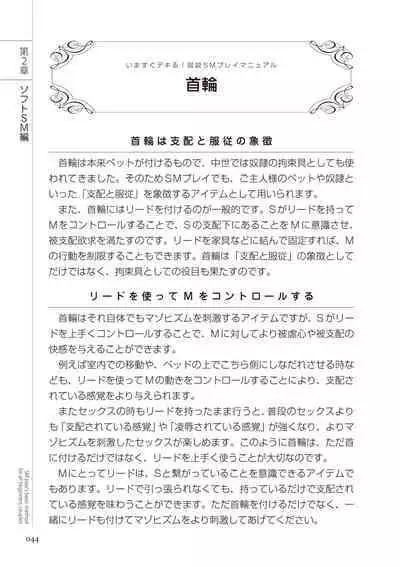 いますぐデキる 図説SMプレイマニュアル