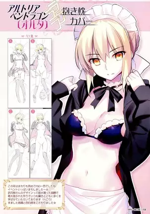 Youfuto Dakimakura Gashuu 1