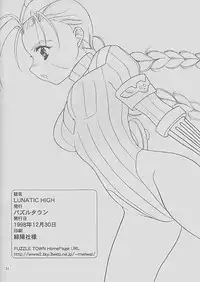 (C55) [Puzzle Town (Mutou Mayuki)] LUNATIC HIGH (Street Fighter)