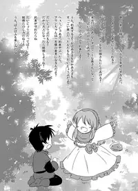 (C77) [Ragho (Akabou, Erika)] ragho-13 Princess Brave! (Dragon Quest II)