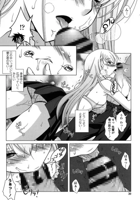 Seiso de Midarana Kanojo