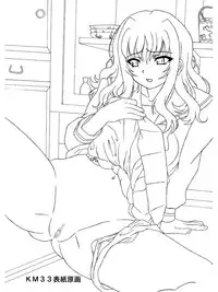 (C79) [Shiroganeya (Ginseiou)] KM33 - Nerawareta Kaerimichi (HeartCatch PreCure!)