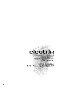 (GOOD COMIC CITY 17) [Eartheater (Dorina)] Cicatrix (Durarara!!) [English] [Yaoi-Sei]