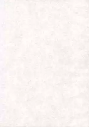 Yoruichi Nyan no Hon 2