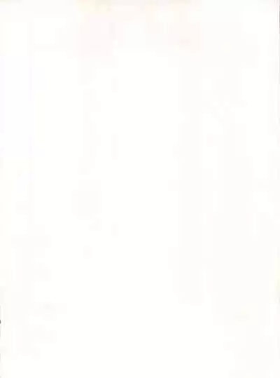 Wanpaku Anime Vol. 4 Dai Bakuhatsu