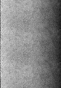 [Cannabis (Shimaji)] Kyousei Shinkon Seikatsu -Saishuu-bi- [Chinese] [無毒漢化組] [Digital]