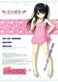 [Tanuki Soft] Shoujo Ramune Settei Gengashuu