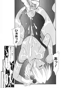 [Anthology] Pure Petit Vol. 8