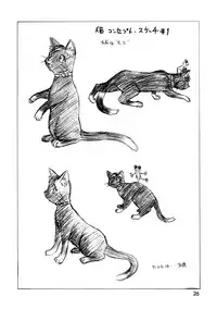 (C56) [.30-06 (Tsutsumi Akari)] CAZA MAYOR ~'99 estio~