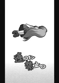 (SC44) [Danshaku Ryou (Danshaku)] Renkoin Kinshi. (Touhou Project)