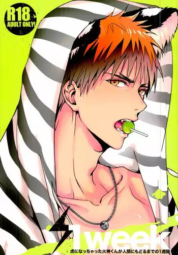 (C88) [FUJIKO (Toriotokonokyoufu)] 1week (Kuroko no Basuke)