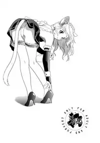 (C56) [.30-06 (Tsutsumi Akari)] CAZA MAYOR ~'99 estio~