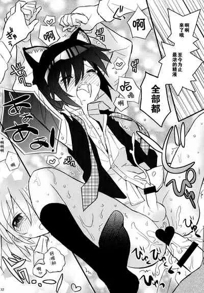 Nekomimi Hisho Drill | 猫耳秘书训练