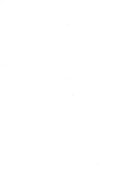 (C72) [BLOOD TEMPLE (Various)] Mamono Kakuchou Sheet LEVEL:4 (Zatch Bell!!)