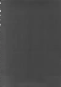 (C82) [Youkai Tamanokoshi (CHIRO)] Bianca no Waki (Dragon Quest V)