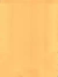 (C64) [KENIX (Ninnin)] ORANGE PIE Vol. 3 (One Piece)