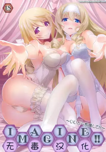 (COMIC1☆8) [Bloody Okojo (Akutagawa Manbou)] IMAGINE!!～Iikara Souzou Shite!!～(Infinite Stratos) [Chinese] [无毒汉化组]