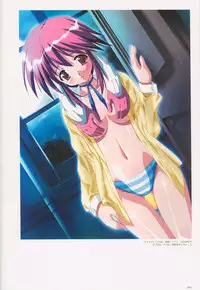 SECRET LOVERS ～MINASHIKA WORKS OFFICIAL EDITION～