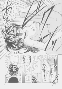 (C53) [First Class (Kazuneko)] W-MIND Soushuuhen (Mahou Shoujo Pretty Sammy)