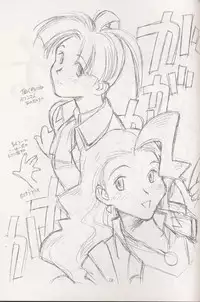 (CR21) [bolze. (rit.)] Kokuan Sairei (Various)