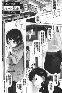 Shishunki no Kokoro | 思春期的少女心