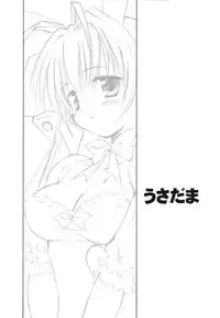 (SC17) [Mizukidou (Mizuki Takehito)] Usada Mania na (Di Gi Charat)