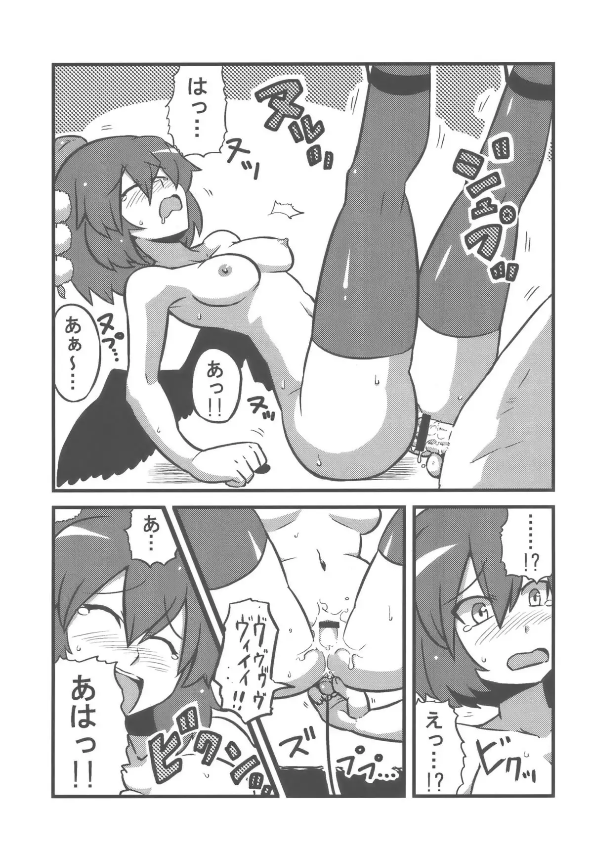 Shameimaru Kanbunchou