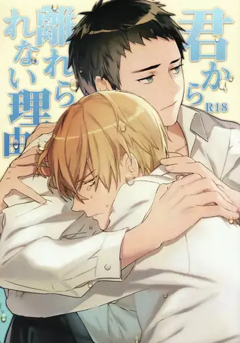 (SC62) [NOCA] Kimi Kara Hanarerarenai Riyuu (Kuroko no Basuke)