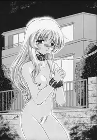 (Tokimeki Party Sensation 5) [Unaginobori (Various)] Extra (To Heart)