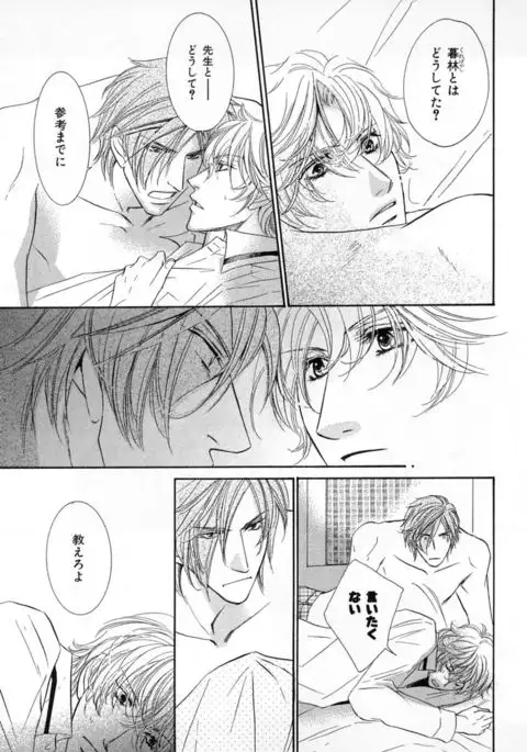 b-BOY Phoenix Vol.4 Seikantai Tokushuu