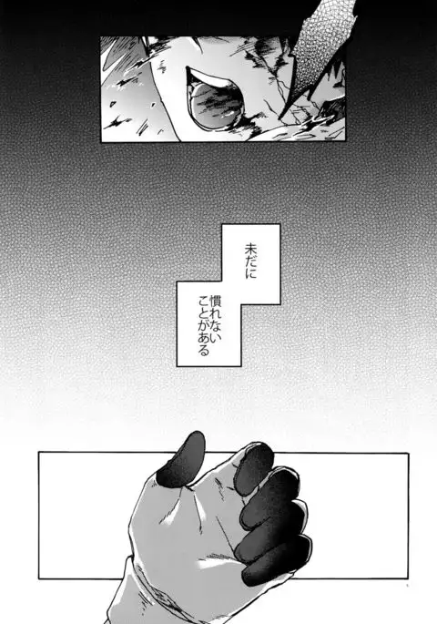 Saigo no Negai o Hoshi ni Shite