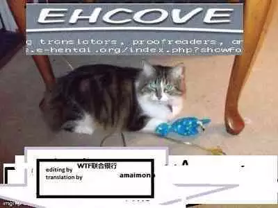 [TRANCEG (Tokugawa Miyo)] Lovers' Soul (Bleach) [English] [EHCOVE]