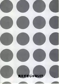 (C77) [Aihara Otome (Yamada Nyoriko)] Miesugi Janai (Neon Genesis Evangelion)