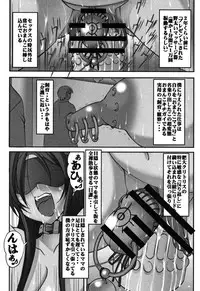 [Mikoshiro Honnin] Botai Hamersu