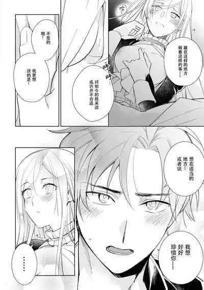 Minarai goei kishi to ōjo no himegoto | 见习护卫骑士和王女的秘事