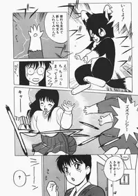 [Trump] Charm The Cat