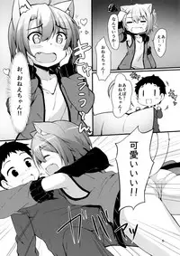 (C91) [Mayorice Suishou Iinkai (Dodomeiro Mayonnaise)] Koneko no Osewagoto