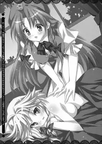 (COMIC1☆3) [LiZ (Satomi Hinako)] Tawawa Biyori (Touhou Project)