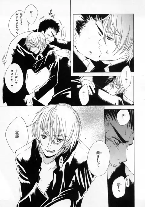 b-BOY Phoenix Vol.4 Seikantai Tokushuu