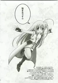 (C74) [Kakogawa-ya (Kakogawa Tarou)] Party Bullets (Mahou Shoujo Lyrical Nanoha)