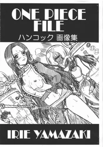 (COMIC1☆4) [Rat Tail (Irie Yamazaki)] ONE PIECE FILE Hancock Gazoushuu (One Piece)