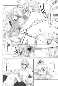 (C87) [CassiS (RIOKO)] Rose cocktail (Final Fantasy XIII) [Chinese] [临时义军]