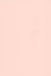 (C66) [Yanasegawabeya (KIYOSE, Akai Lapis)] THE SUZI Sono Suzi no Hon (Various)