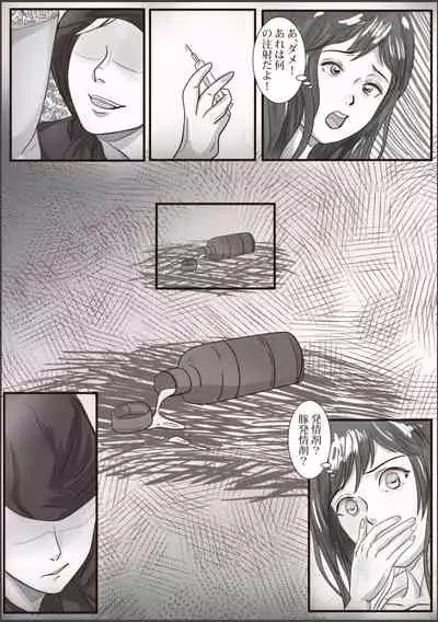 The case of crossdresser murder(女装男子殺人事件)