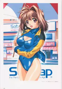 SECRET LOVERS ～MINASHIKA WORKS OFFICIAL EDITION～