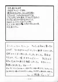 (CR22) [White Elephant (Various)] Cammy Sousa Kannou Shashinshuu (Street Fighter)